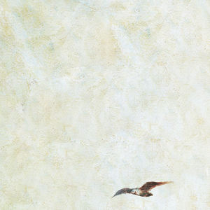 阿德大战陈玉滢最经典十句话
