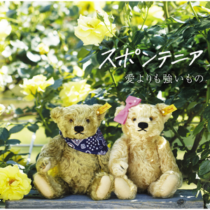 阿德大战陈玉滢最经典十句话
